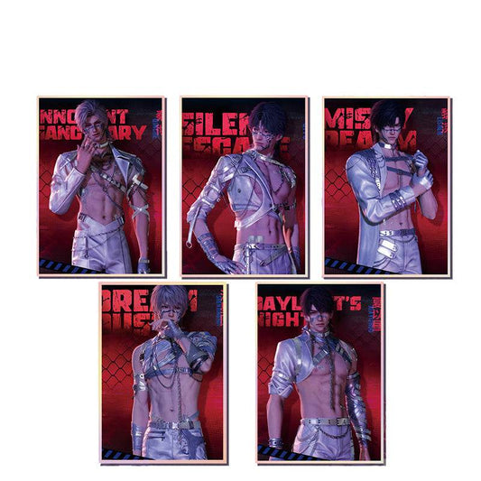 LaDS Acrylic Art Card 116-178 Large Size Holographic Edge 20.5*14.5cm Anime Merchandise - merrys