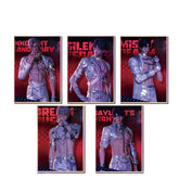 LaDS Acrylic Art Card 116-178 Large Size Holographic Edge 20.5*14.5cm Anime Merchandise