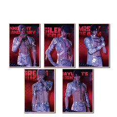 LaDS Acrylic Art Card 116-178 Large Size Holographic Edge 20.5*14.5cm Anime Merchandise - merrys